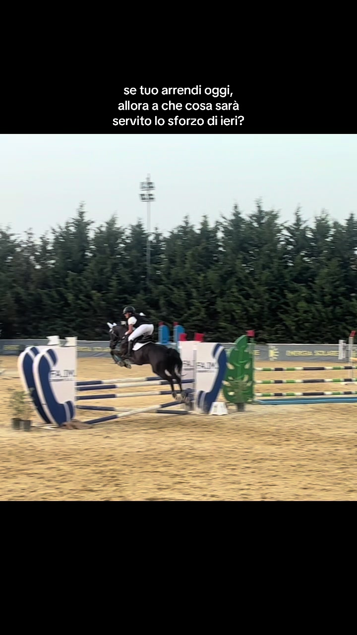 @isa_pullo🩶🐴