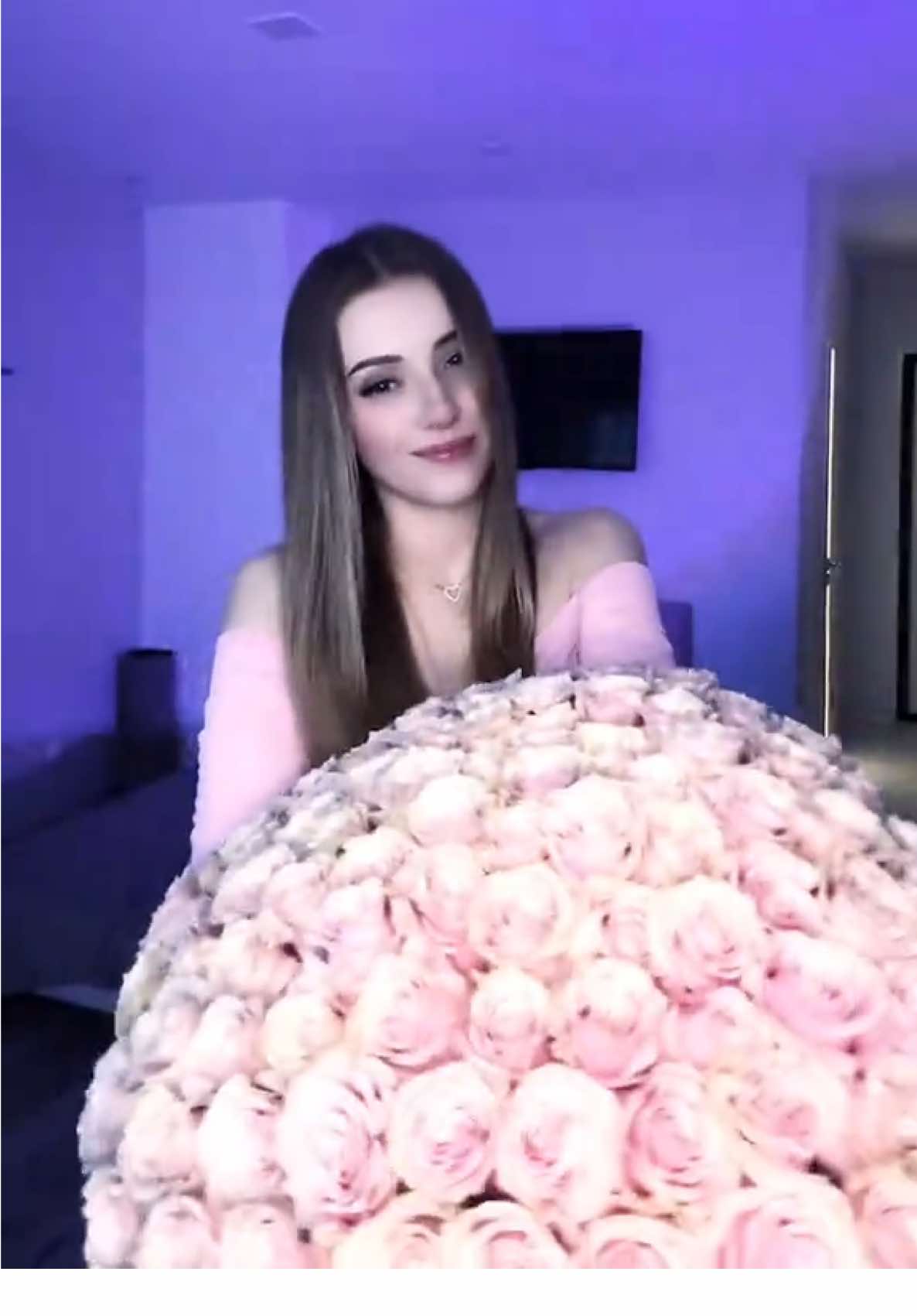 @Polimeya🐰