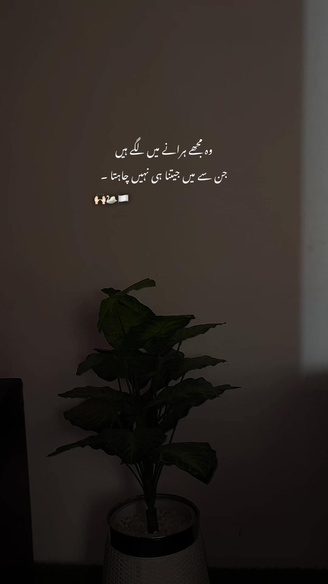 @۲۰۰۷