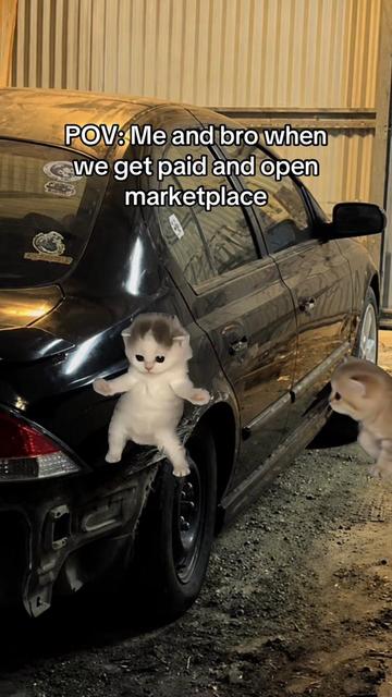 @wasntmebred