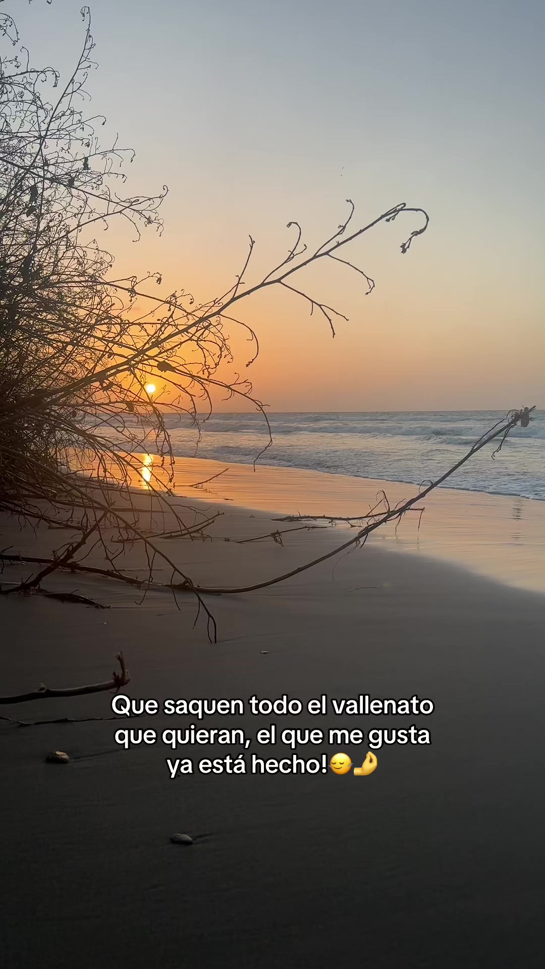 @karenpetano3