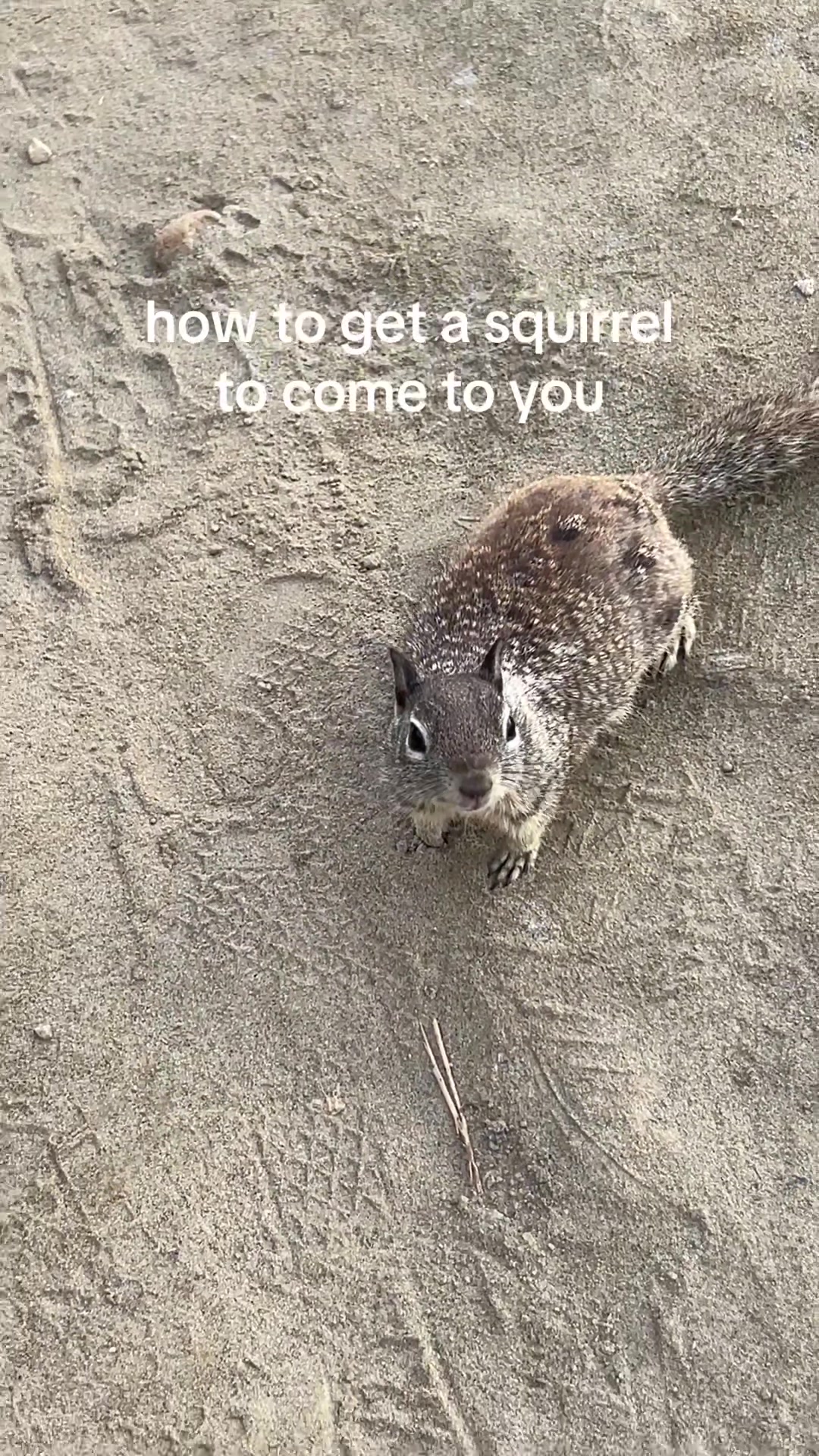 @raegan