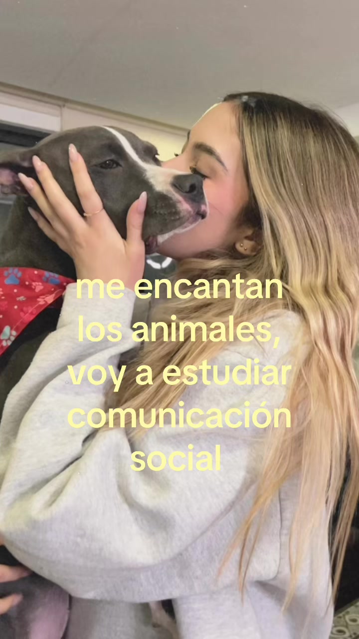 @valentina chacón