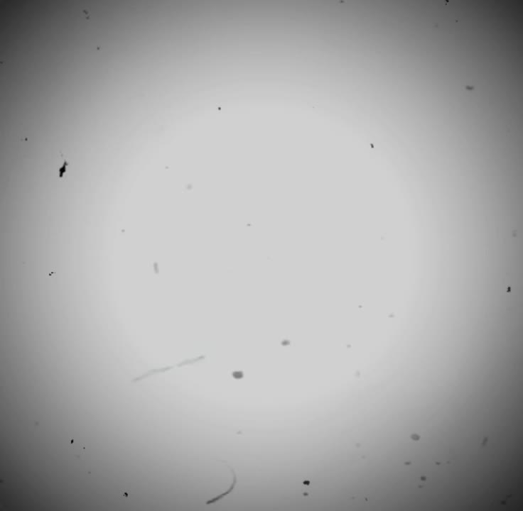@[LIK€•★•Isagi︻デ═一