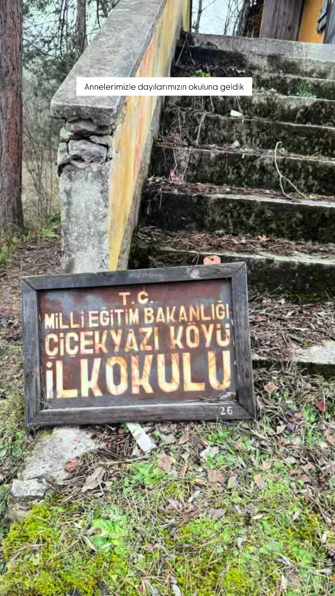 @Filiz Karakış