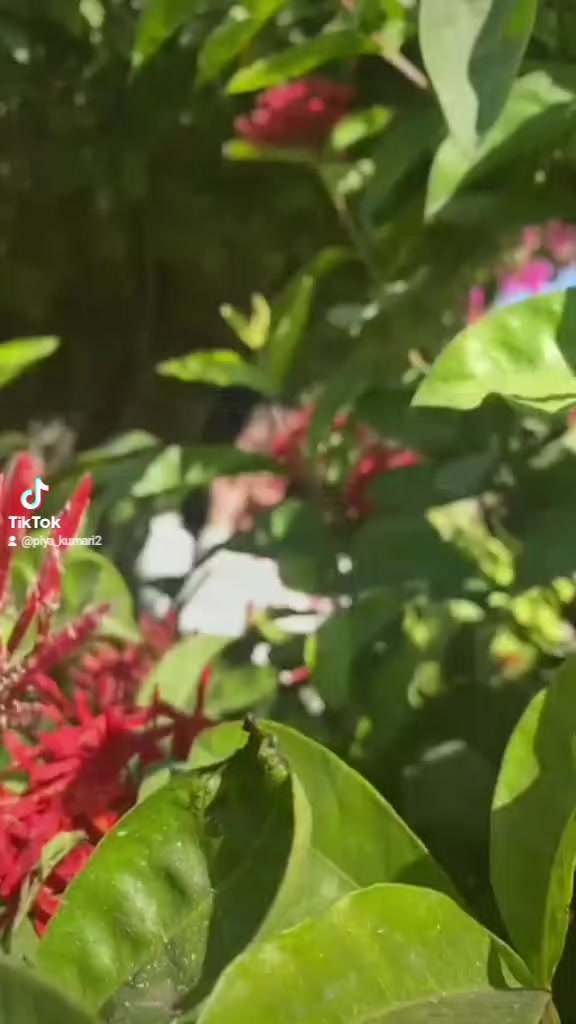 @Priya_kumari