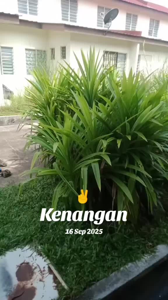 @anje🔴🔵