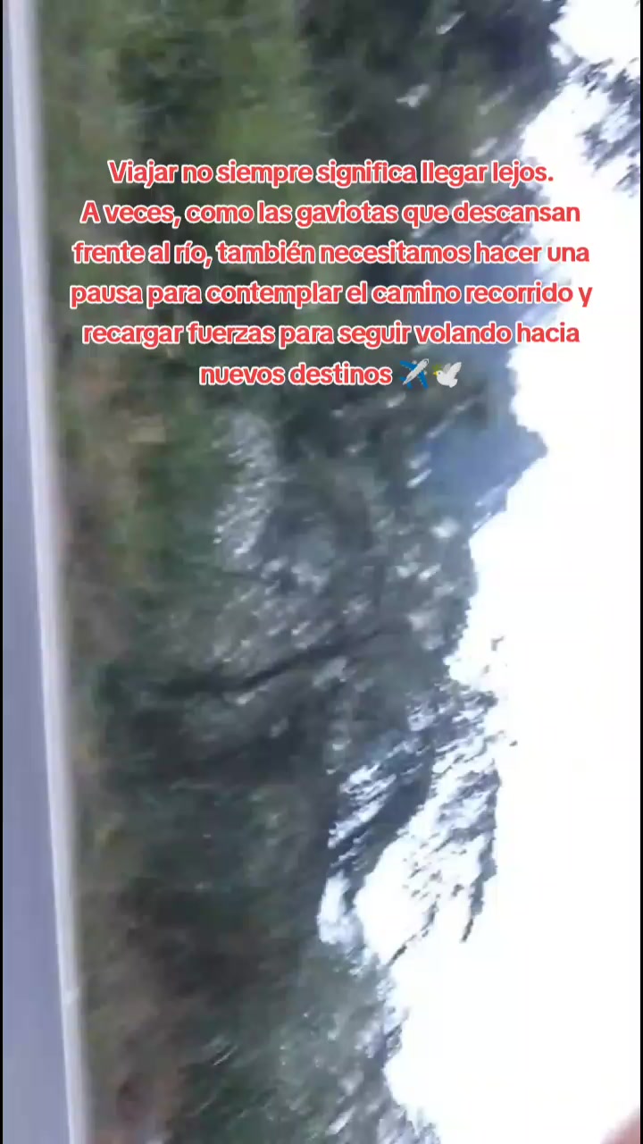 @Ver&oacute;nica Gonzaga