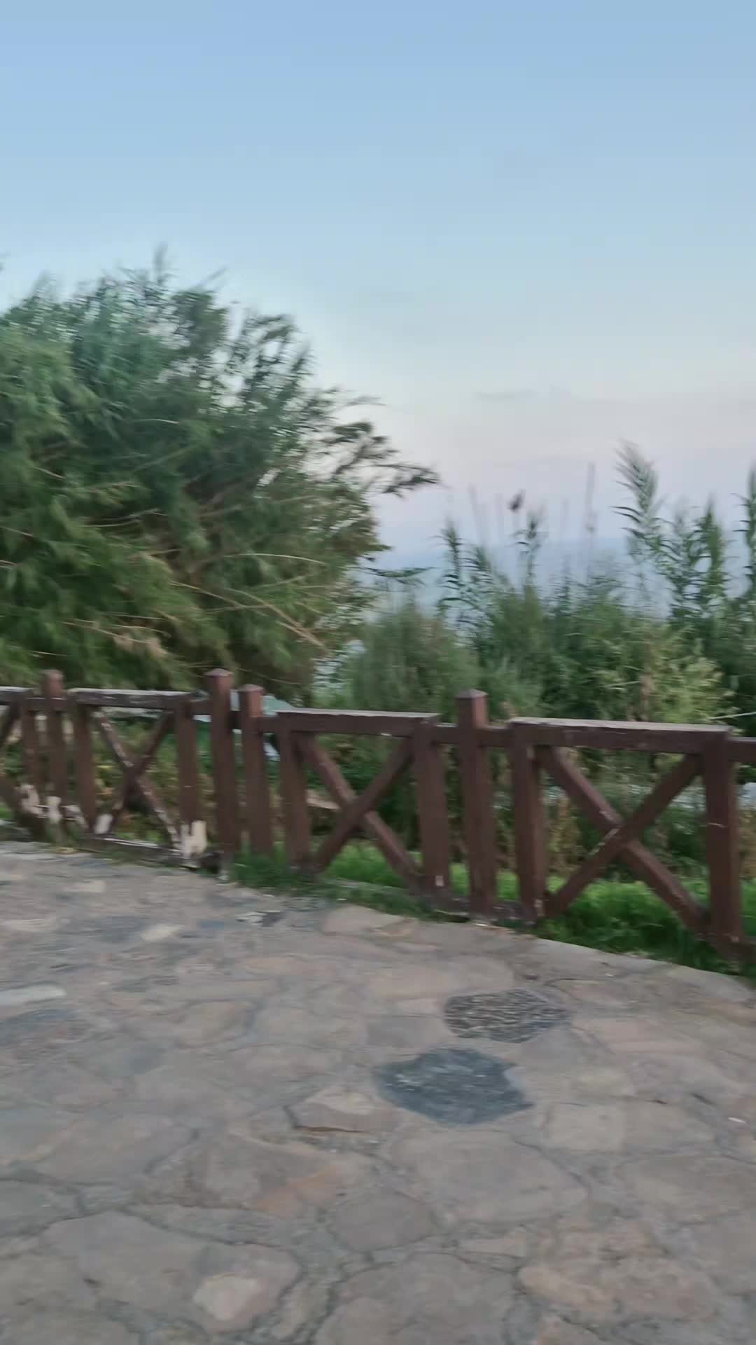 @Bahar6507