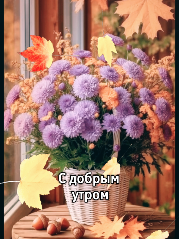 @Деревенская бабушка