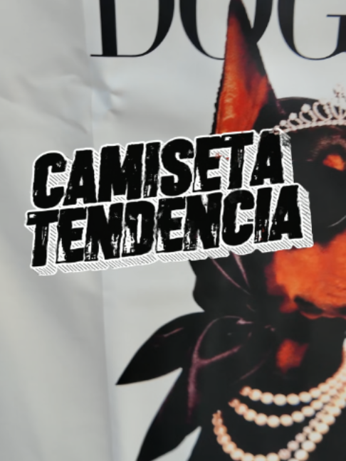 @dygmodayestilo