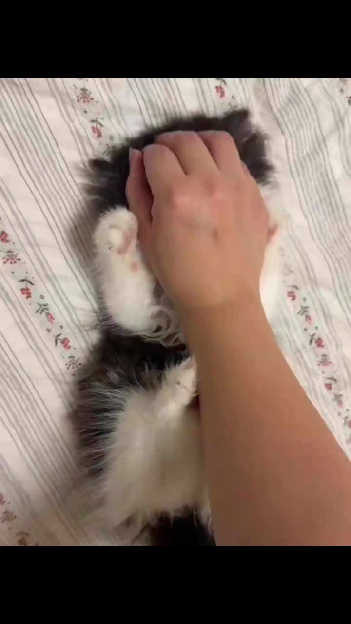 @trạm cute