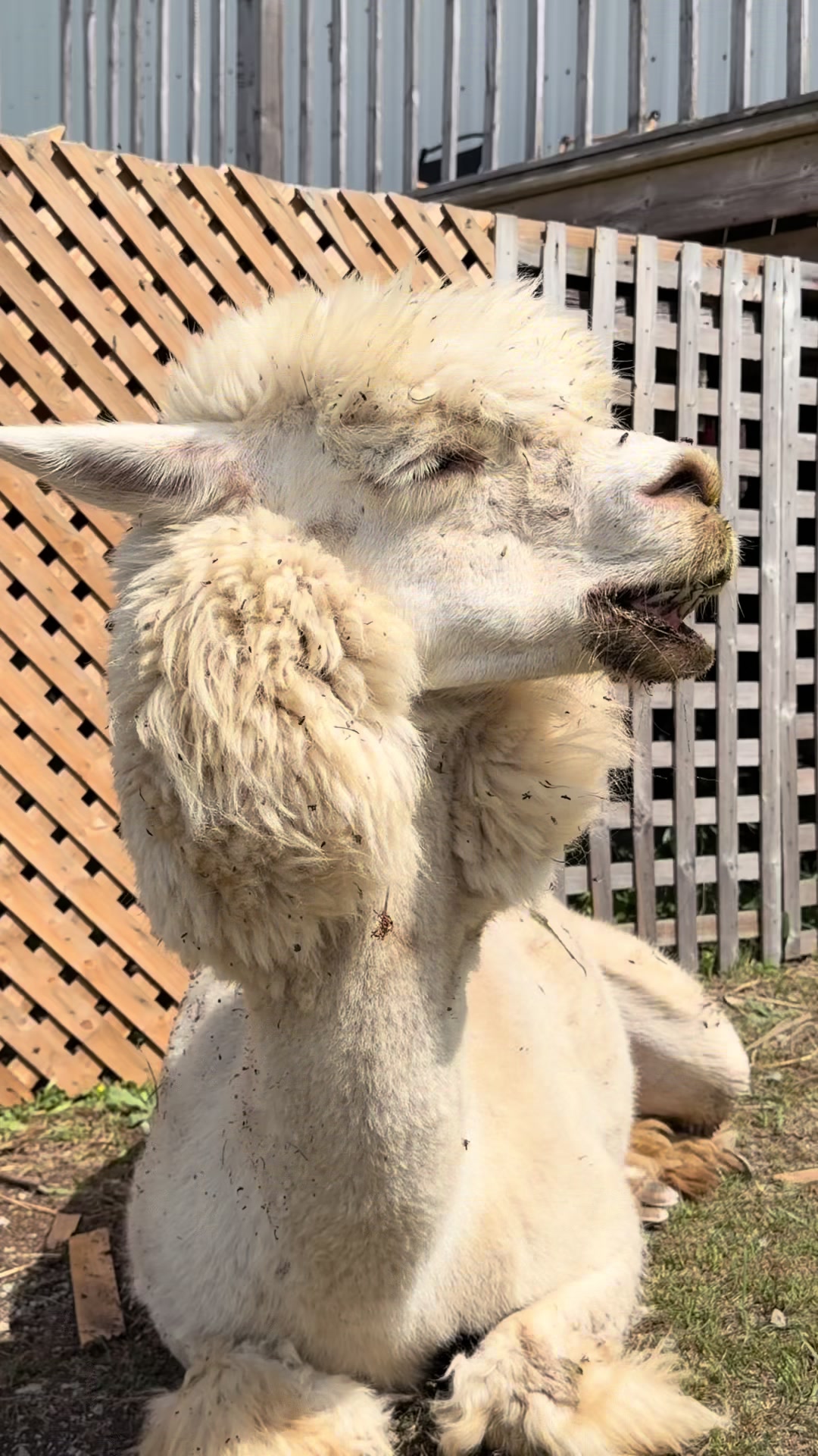 @Useless Farm