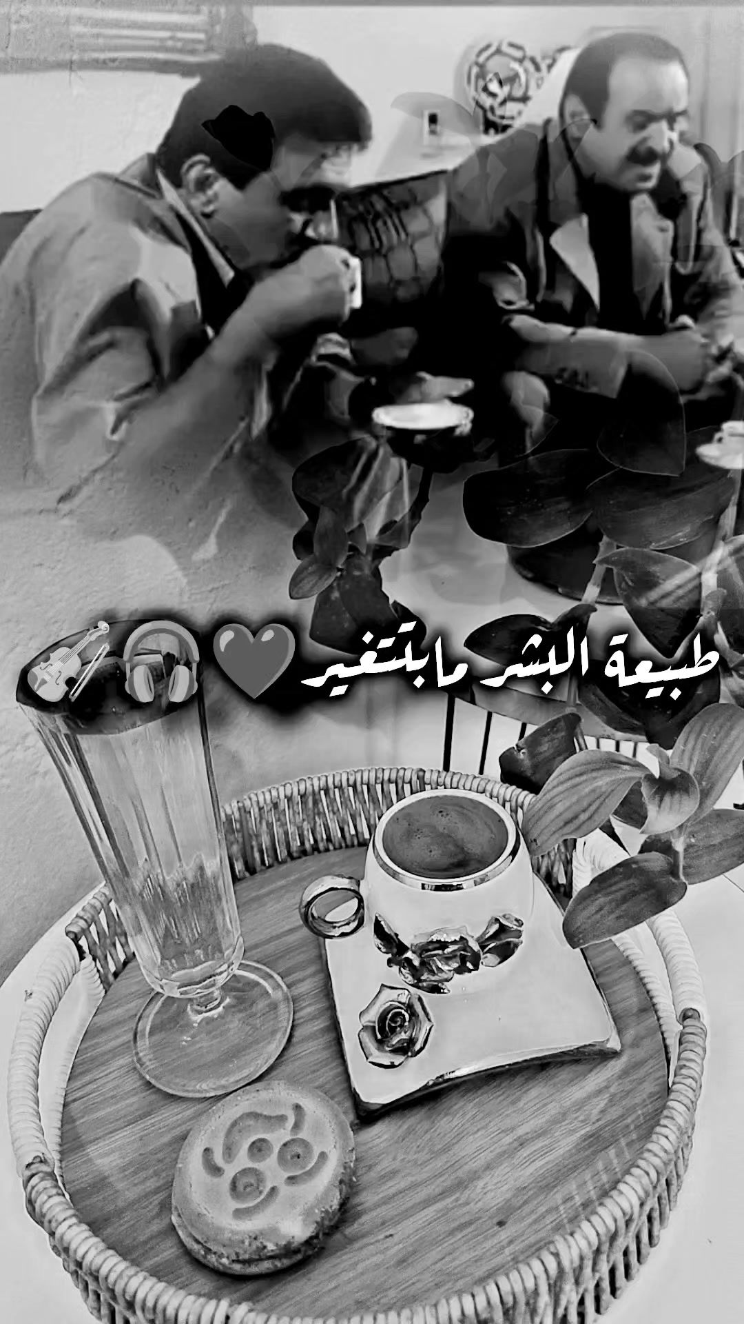 @عبير الورد🍃❤️