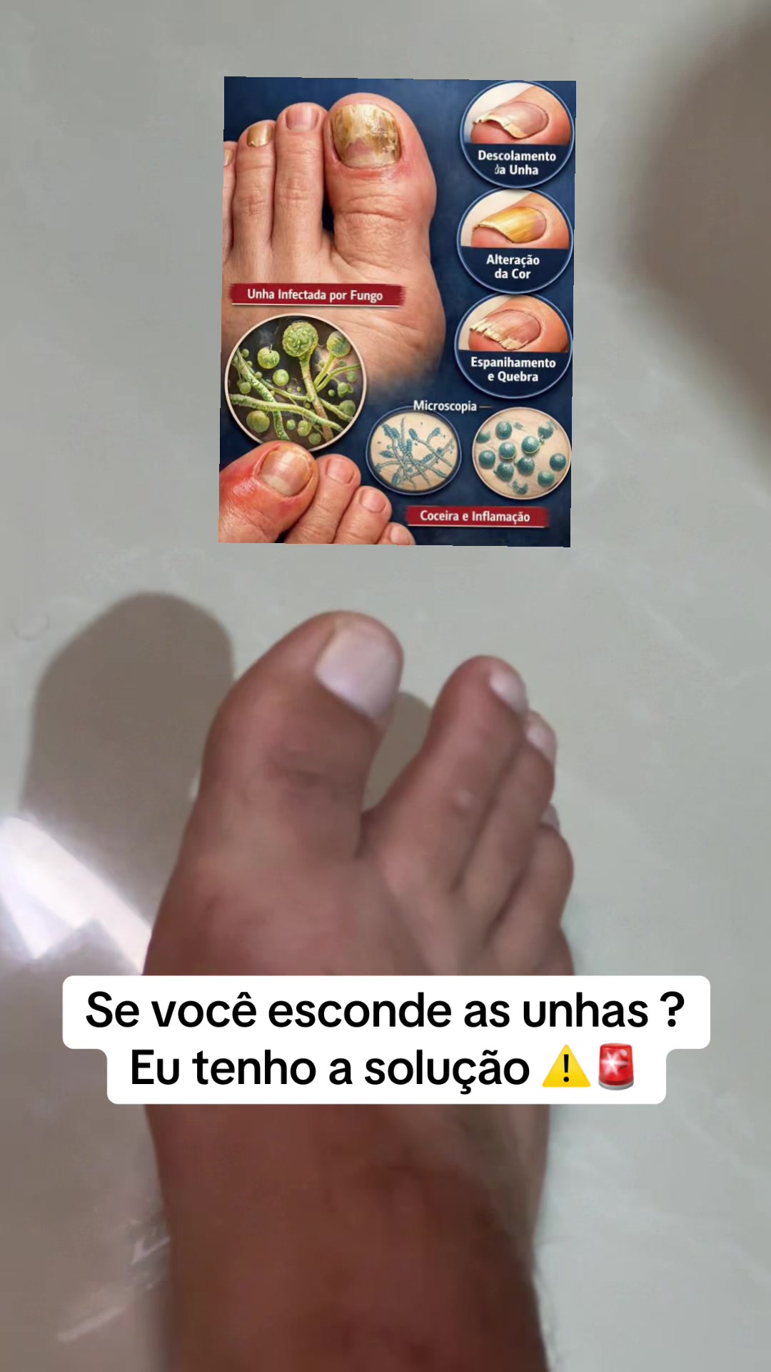 @Rex Vasconcelos