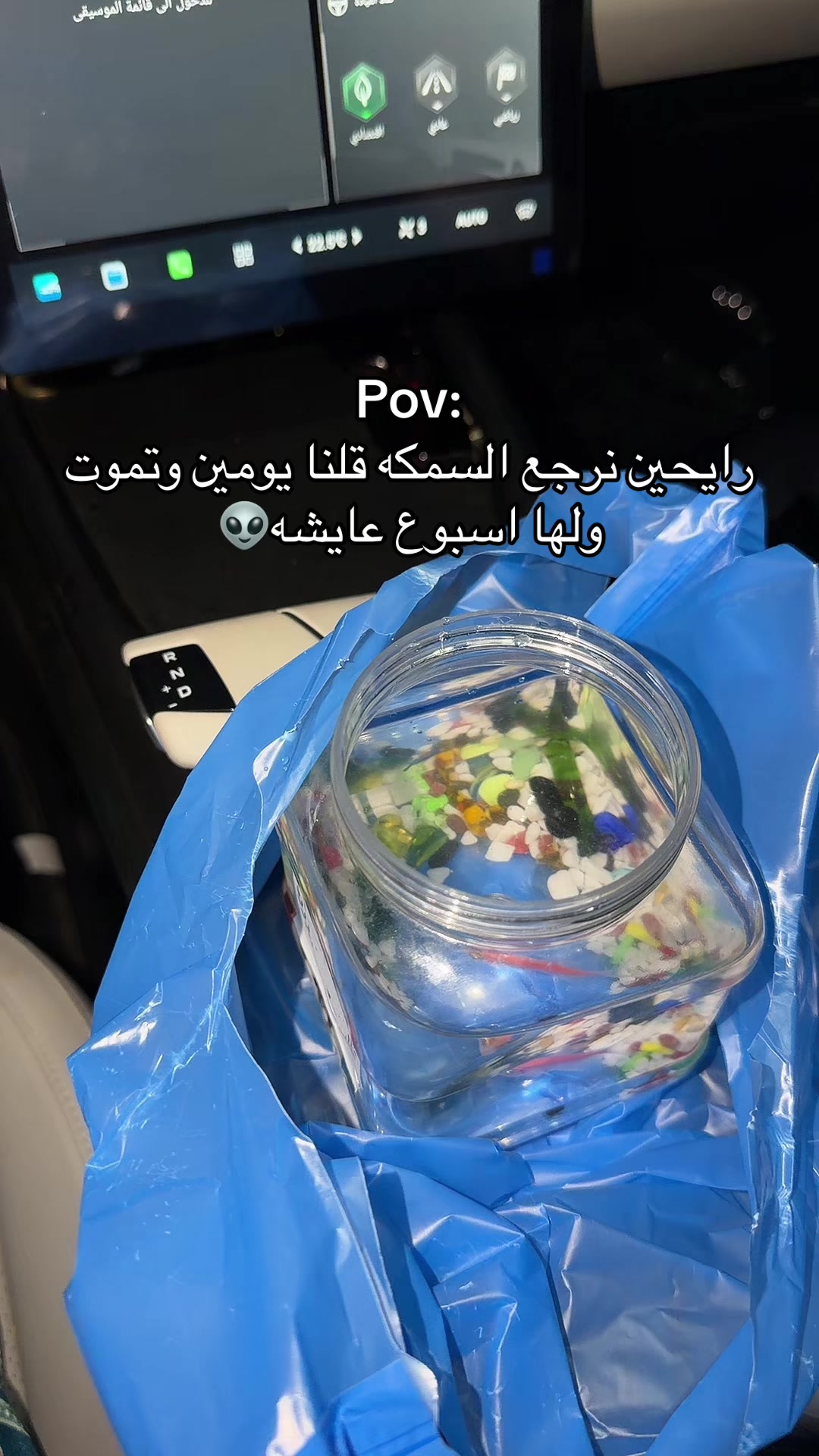 @تـوتا | 𝚃𝙾𝙾𝚃𝙰