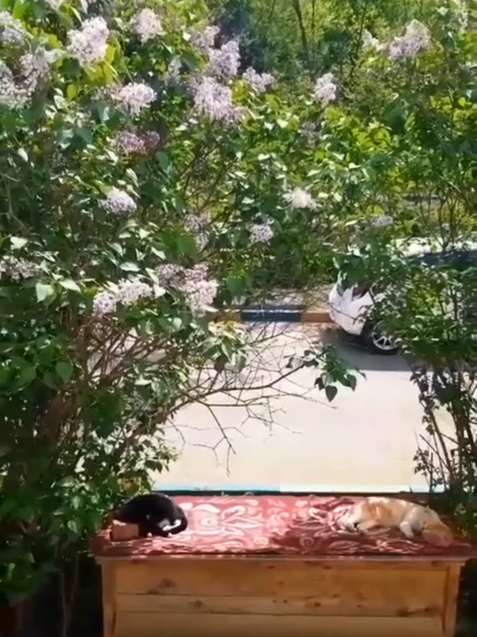 @Ольга