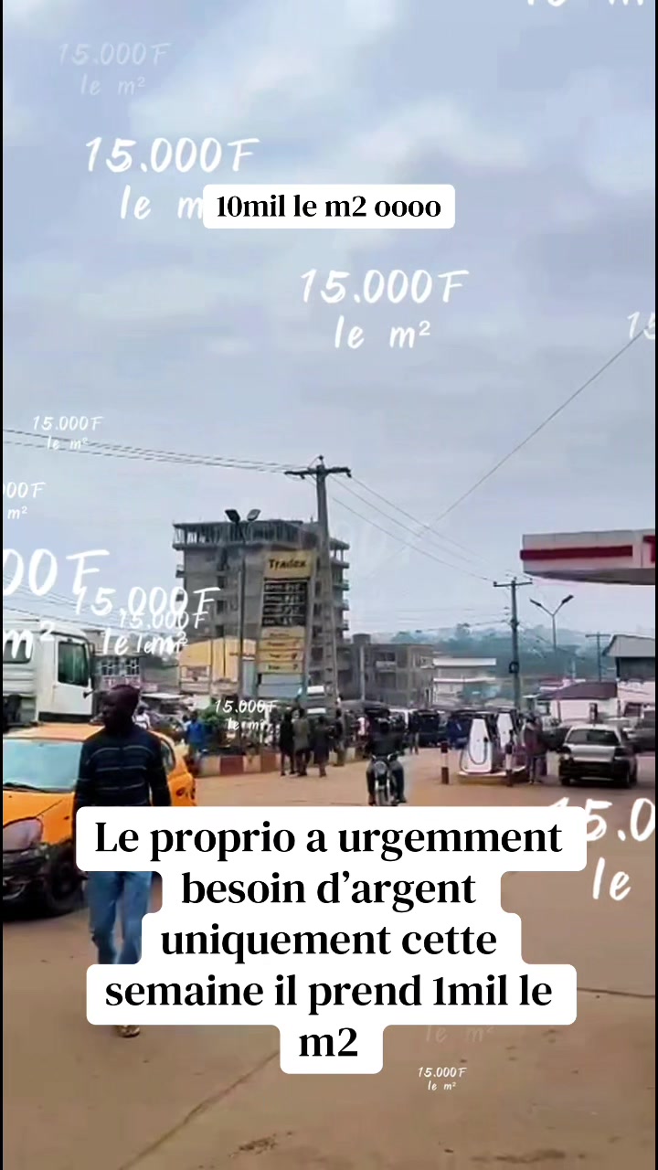@DINO~IMMO~237🇨🇲🇨🇲