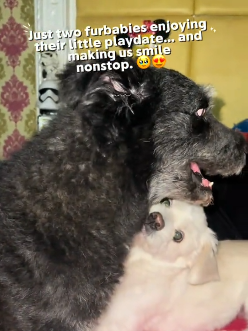 @M̊⫶i̊⫶h̊⫶o̊⫶🎀