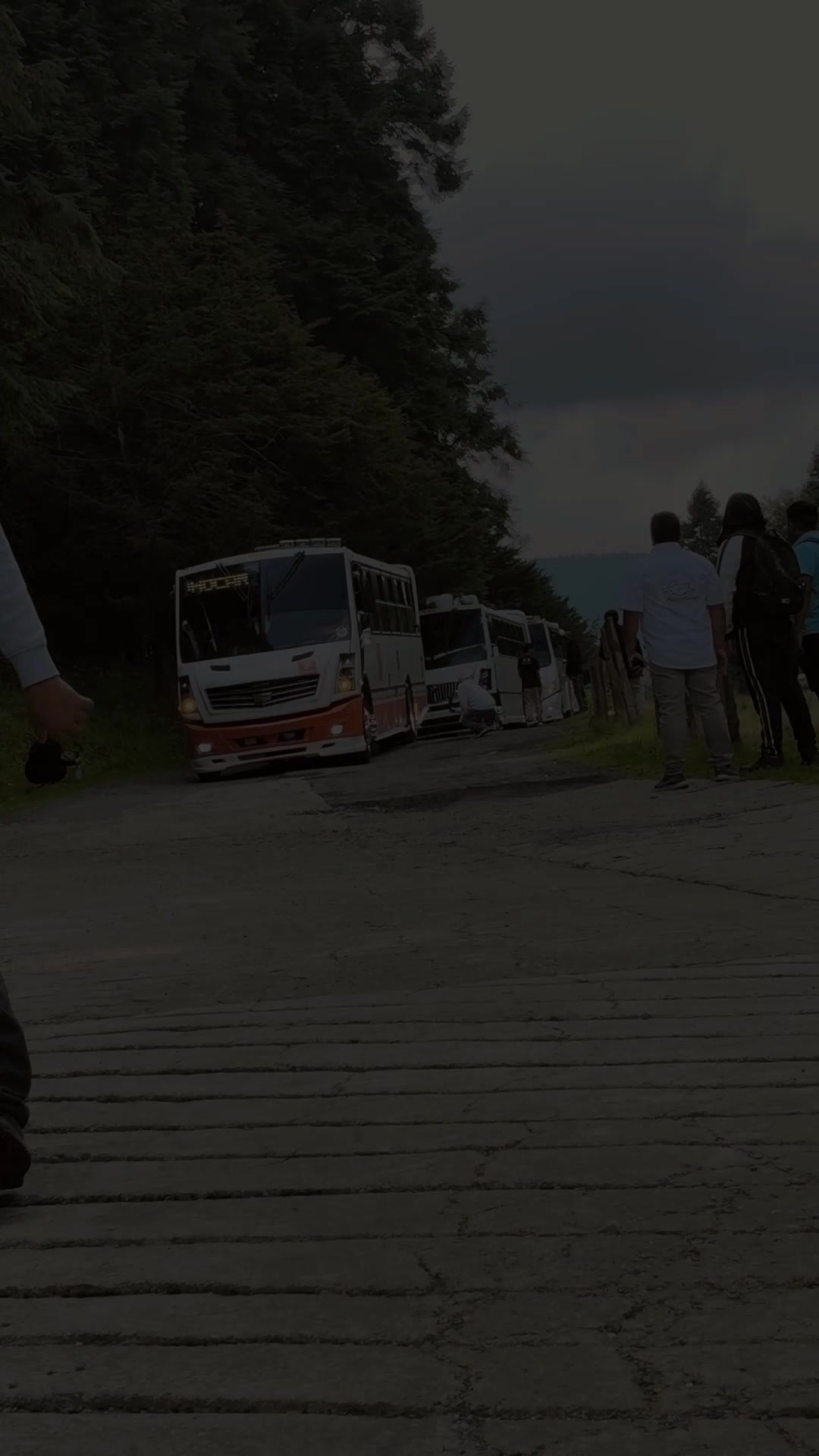 @Autobuses Elegantes Mx