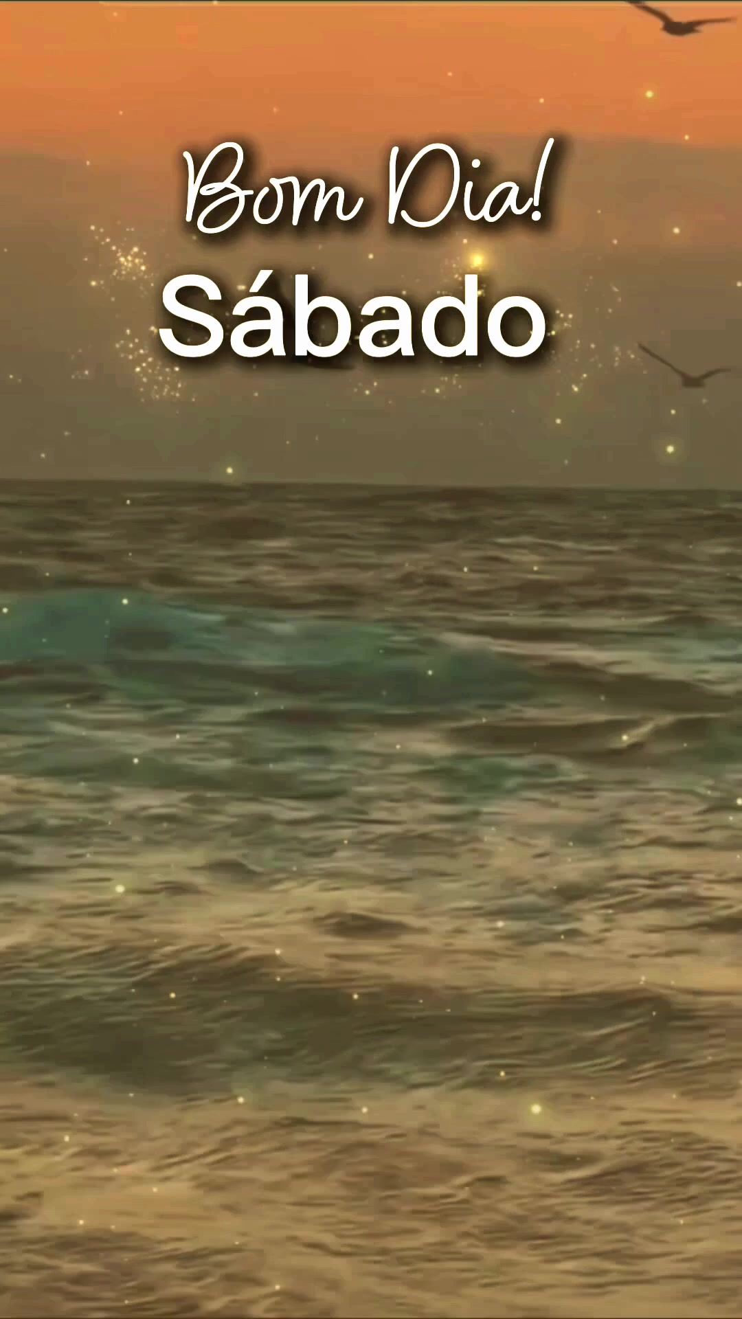 @Bolina de Goiás
