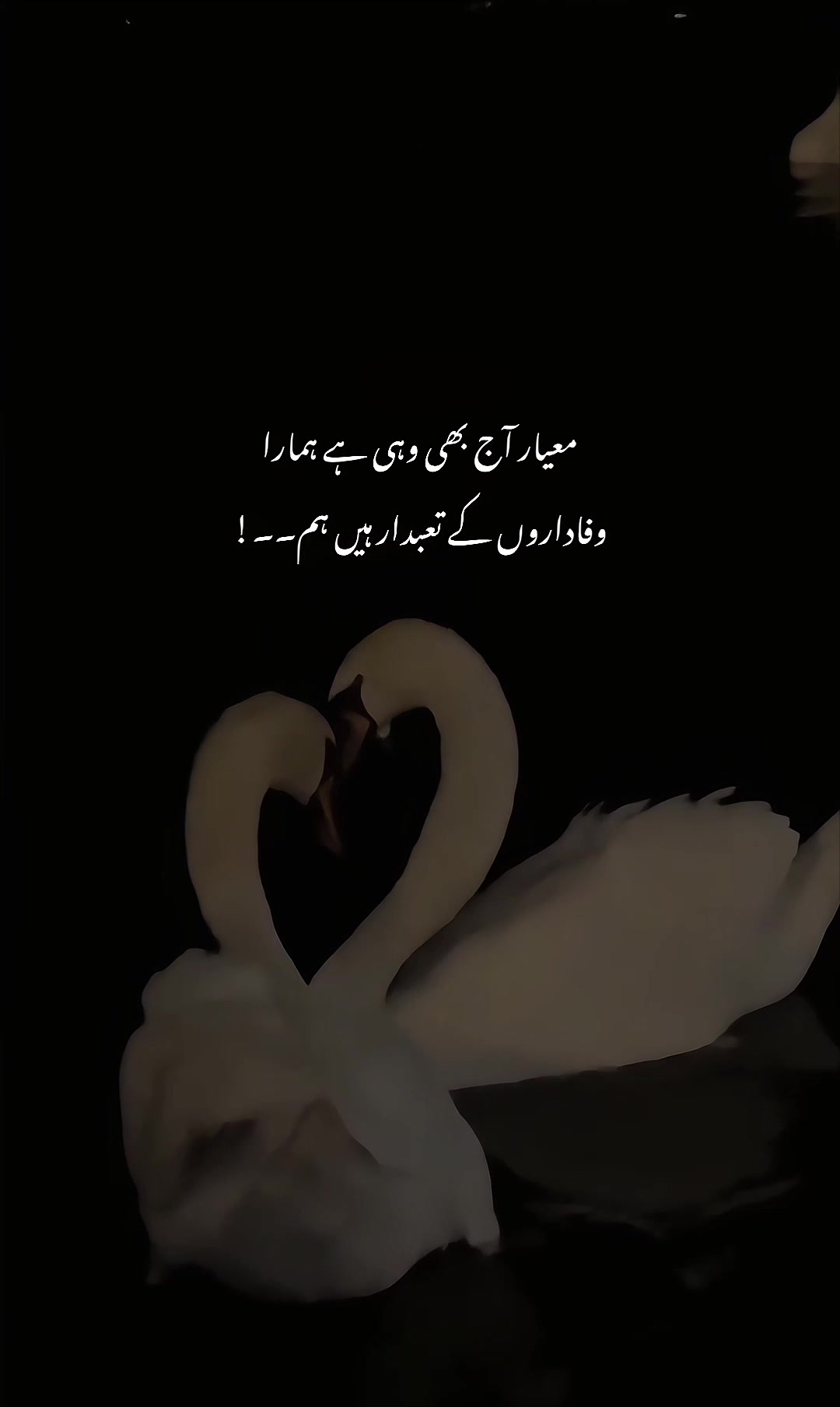 @ᥫ᭡𝐈𝐒𝐇𝐔⏤͟͟͞͞🦢🌷