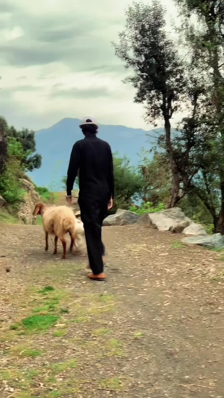 @𝐌𝐞𝐫𝐭🇹🇷