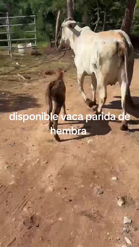 @maykel Mej&iacute;a
