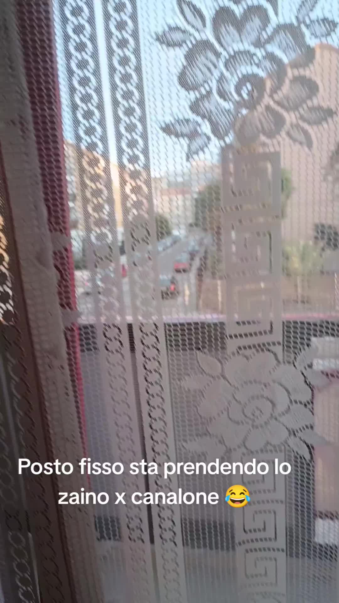 @elenarondinone