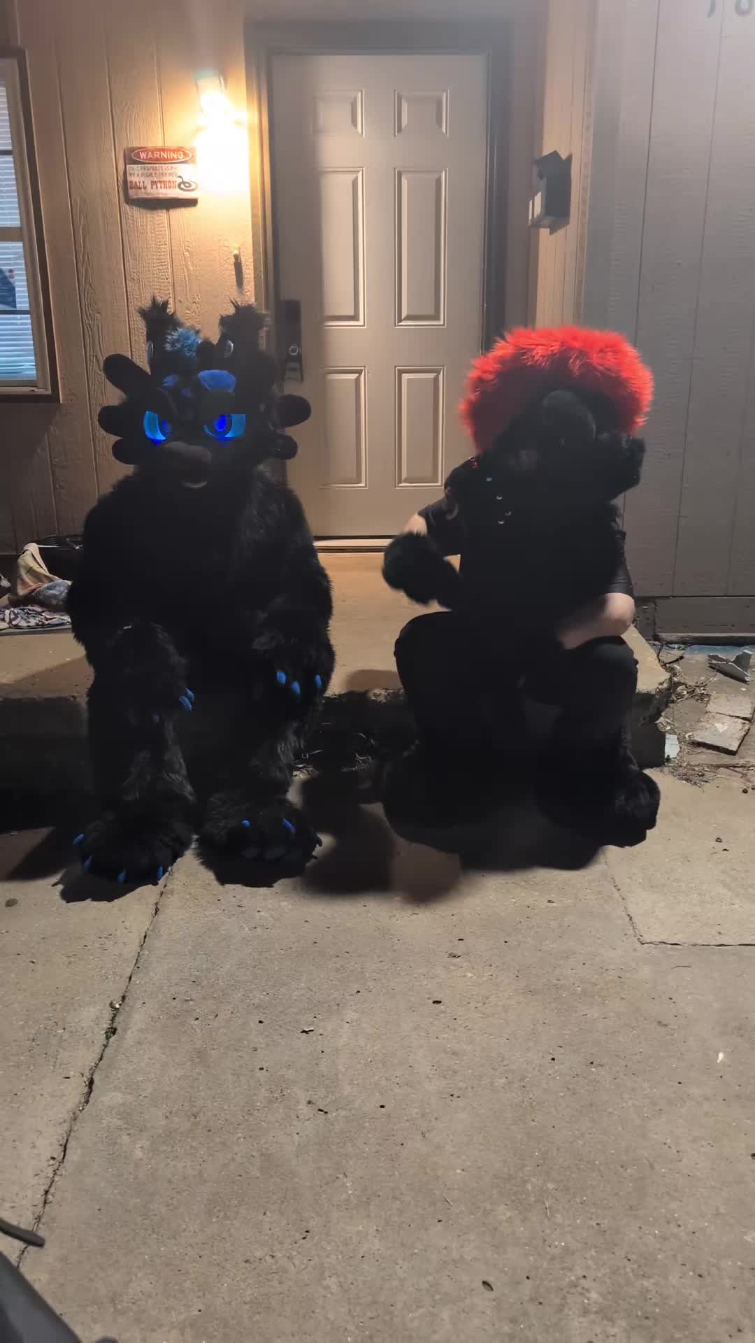 @DashTheNightFuryTaidum