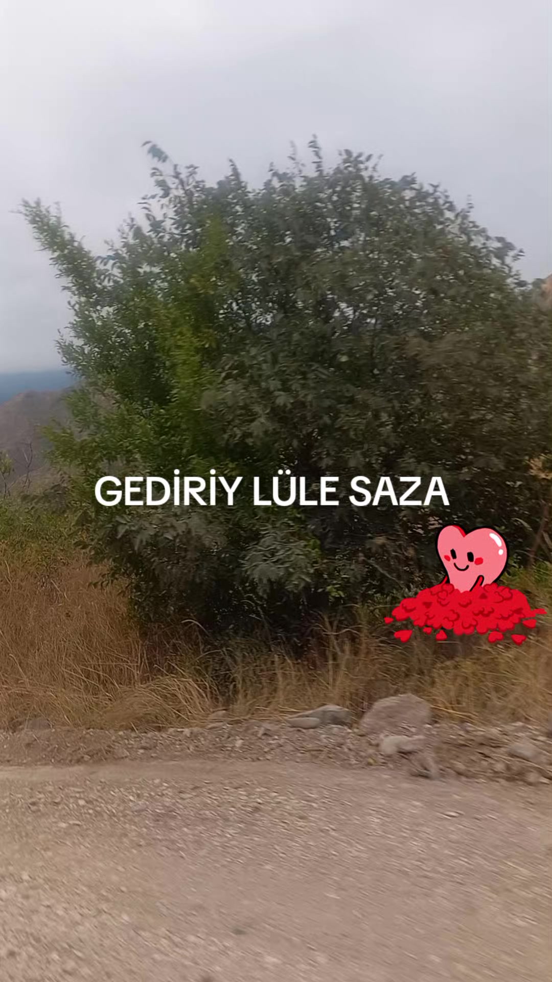 @TERANE NESİROVA