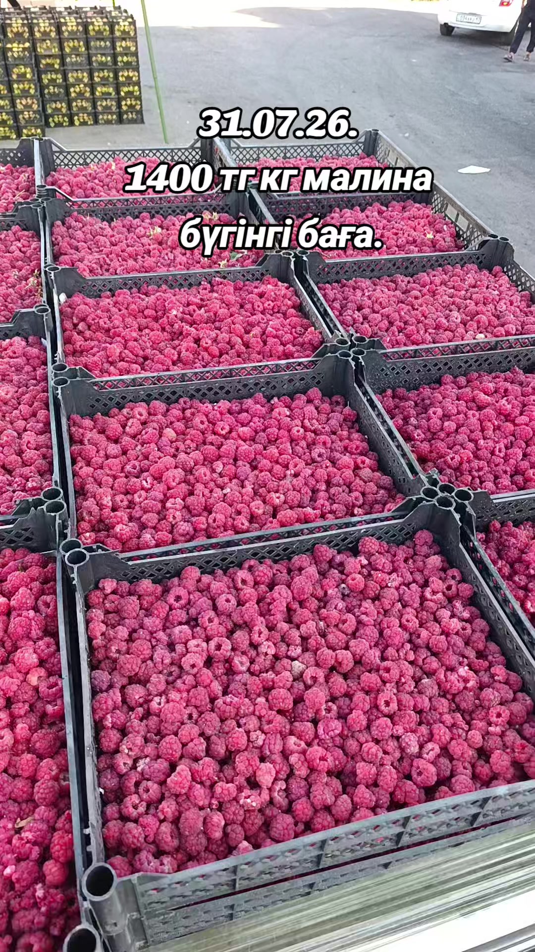 @ЭКЗОТИК ҚАРАБУЛАҚ