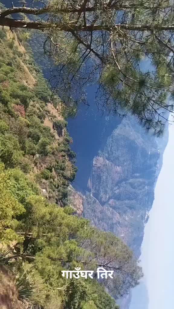 @Rakesh Bhatt7160