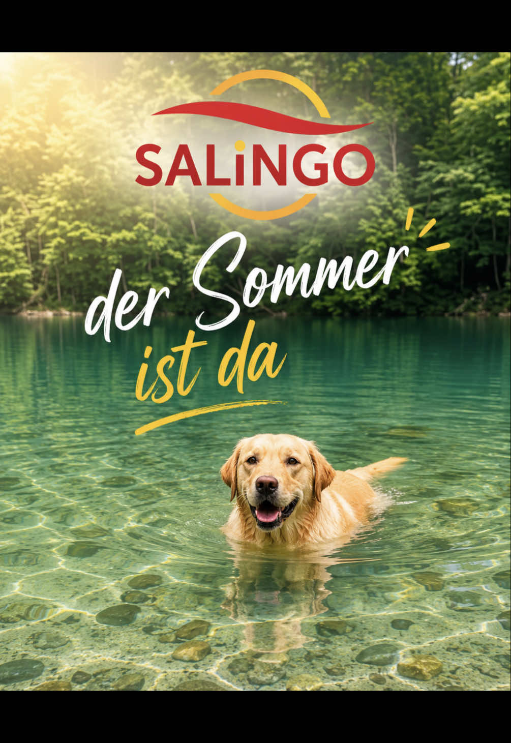 @SALiNGO