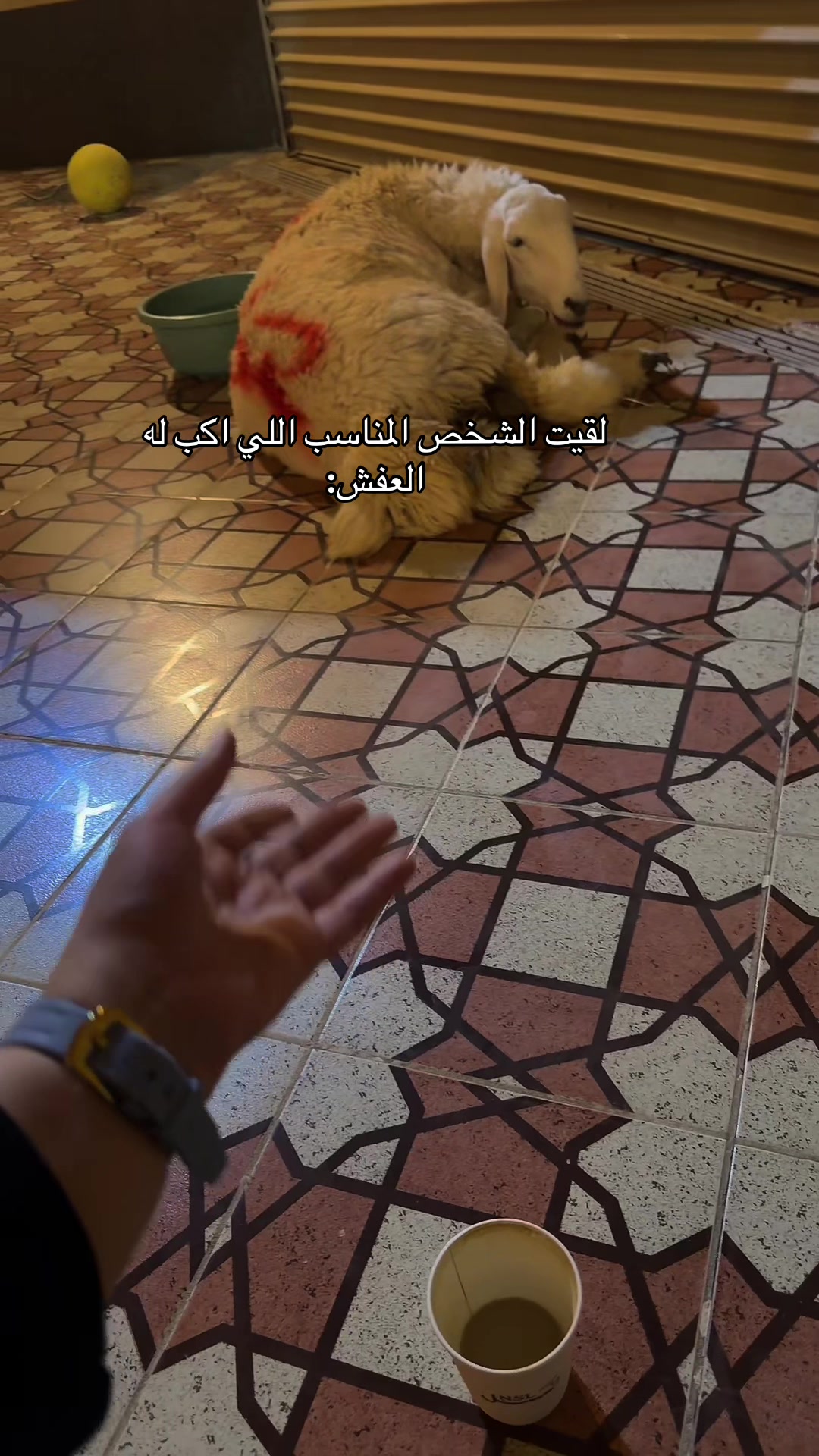 @جـيـم ..