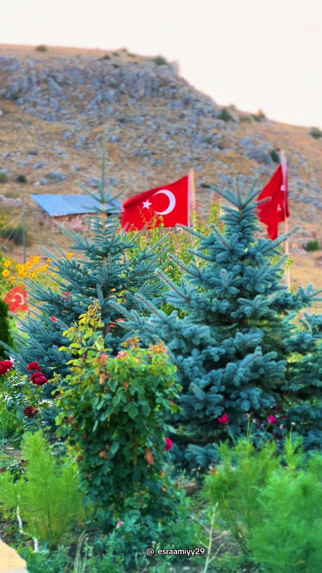 @Esra Ayyıldız 💐
