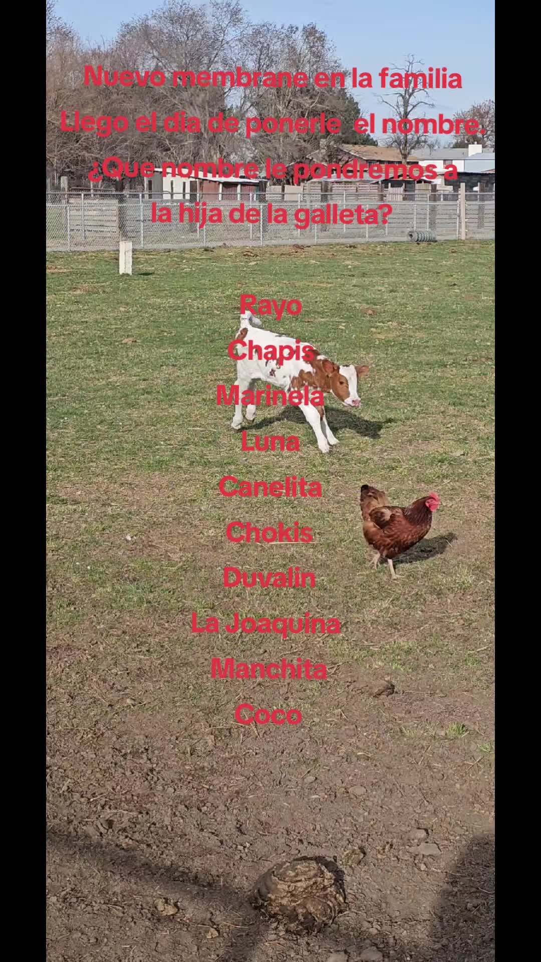 @rancho_rangel1