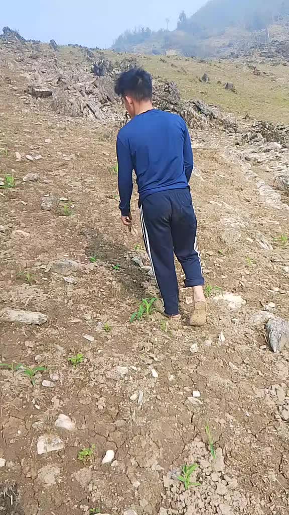 @s&aacute;ng