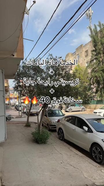@Carmaxdz 🇩🇿