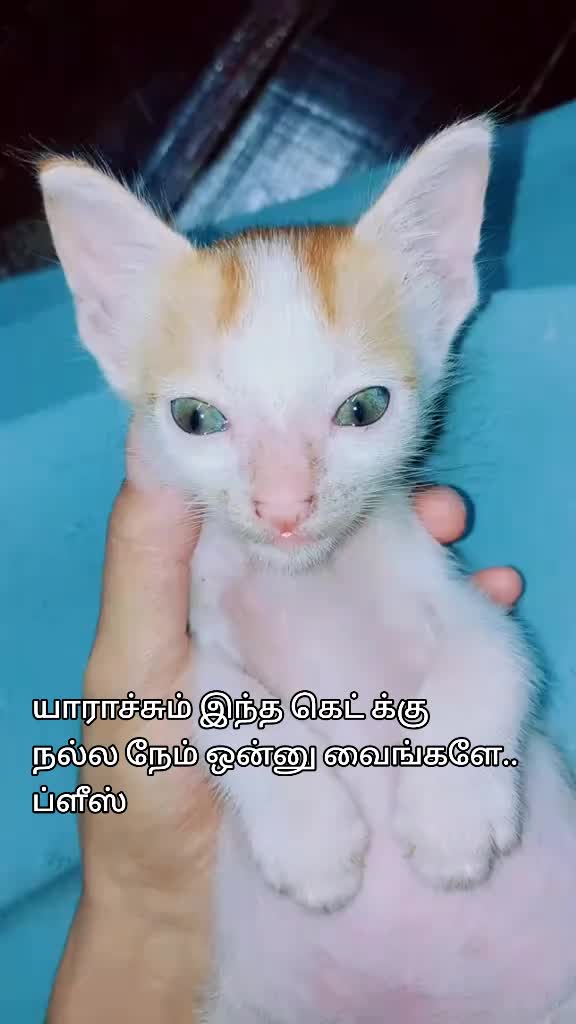 @Princesz hasna