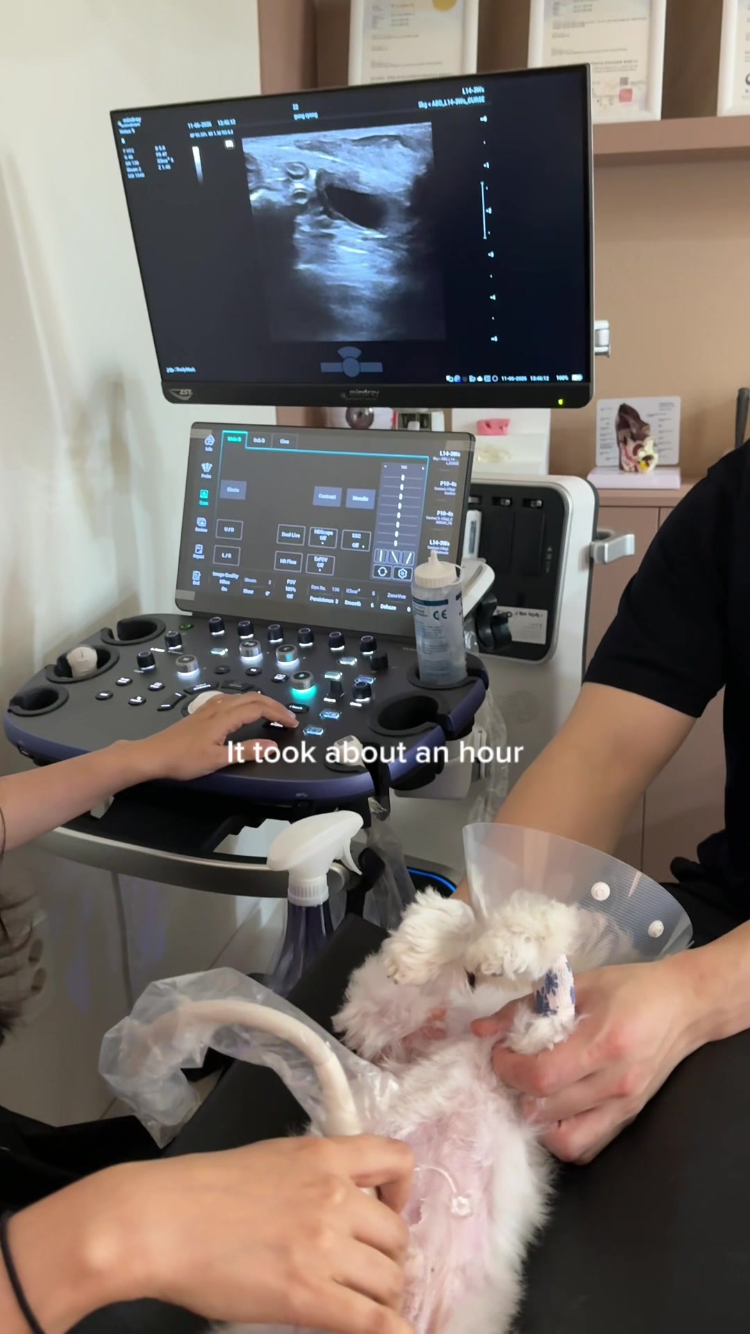 @Doctor By