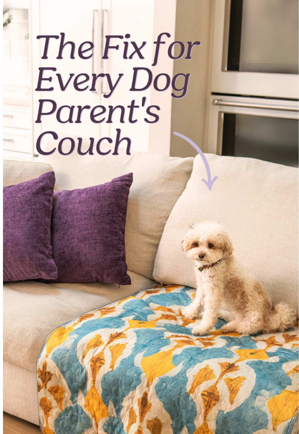 @Lovewag Pets