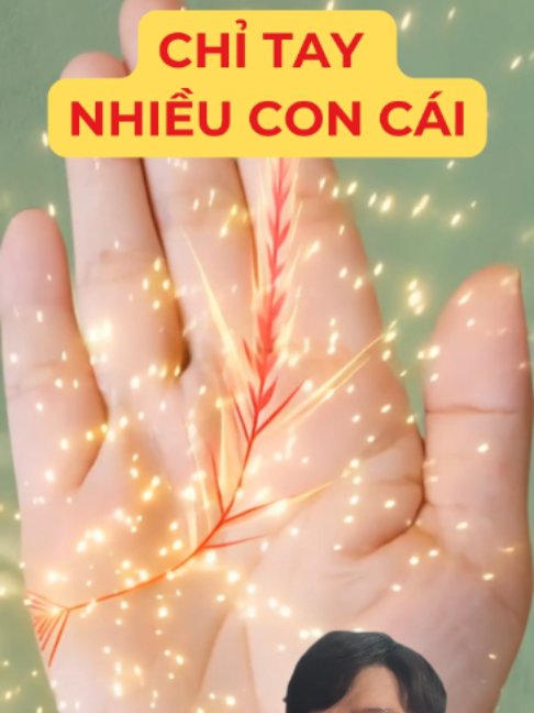 @Học Xem Chỉ Tay