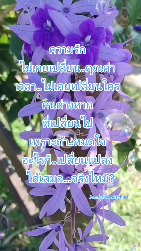 @Amnart wisetchart