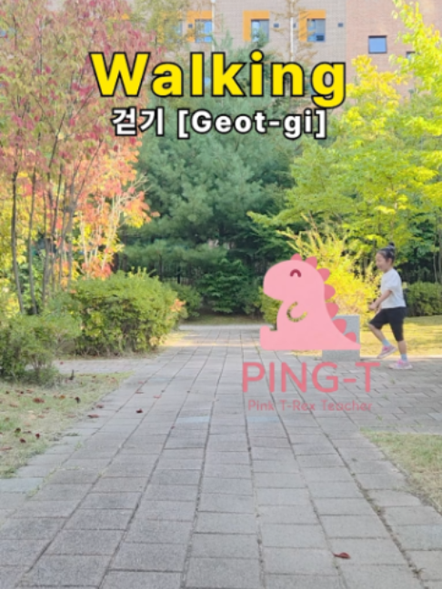 @Ping-T