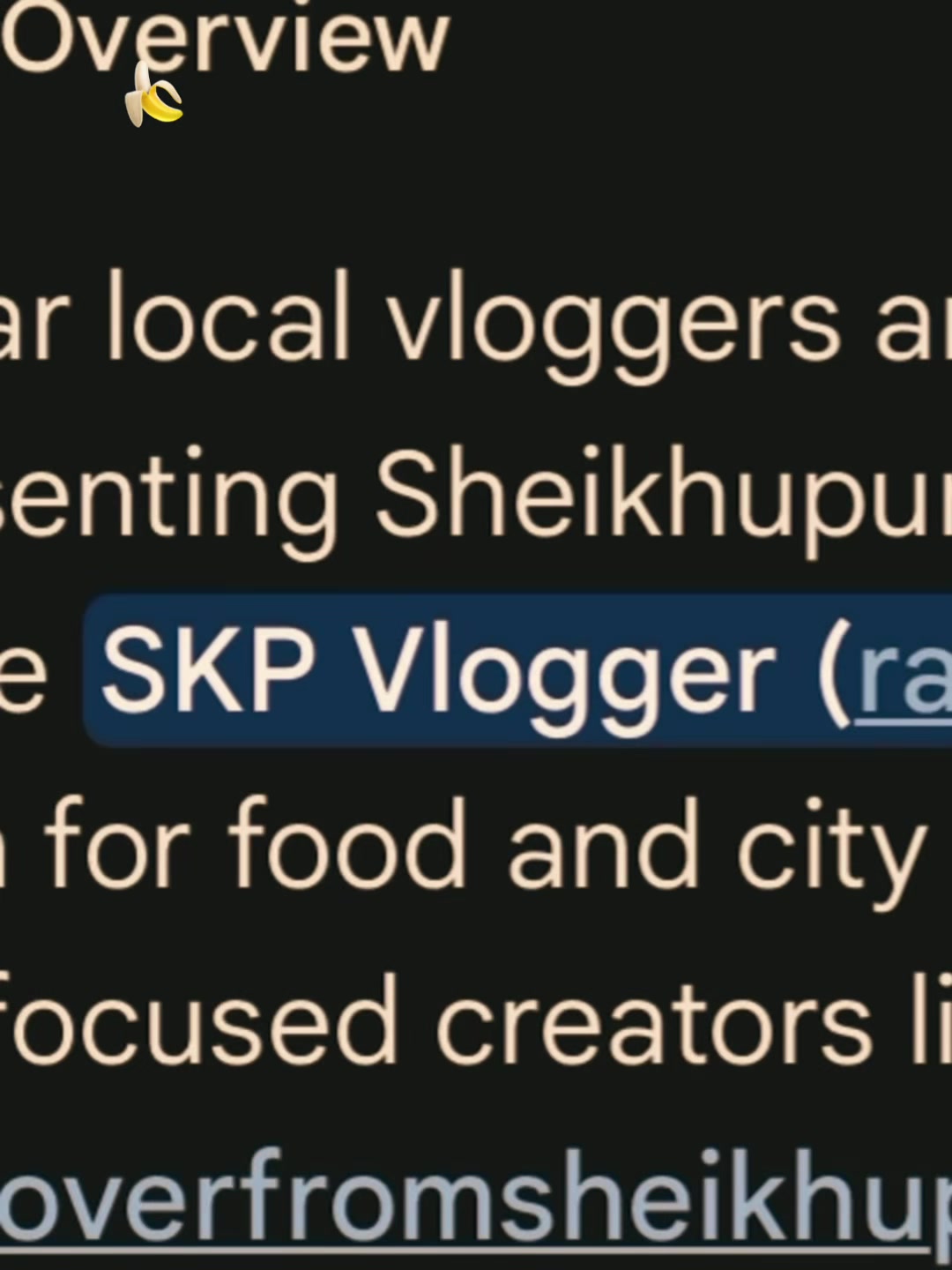 @skp_vlogger
