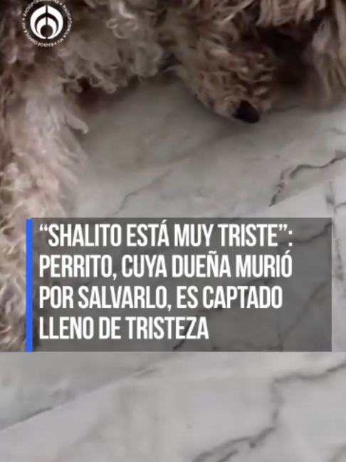 @Radio Fórmula