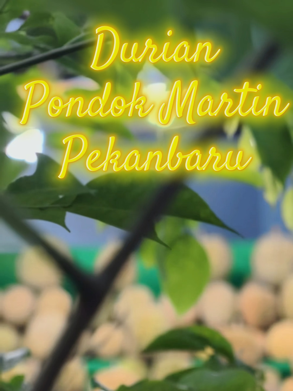 @The Indonesian Blue Channel