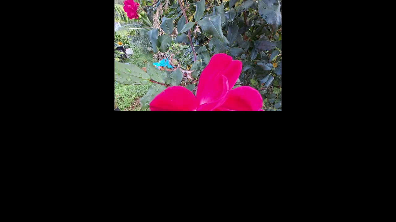 @Uthinkithot_Capcut organic