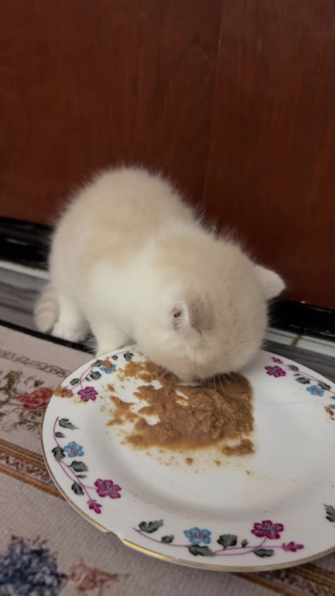 @CACABROTBROT